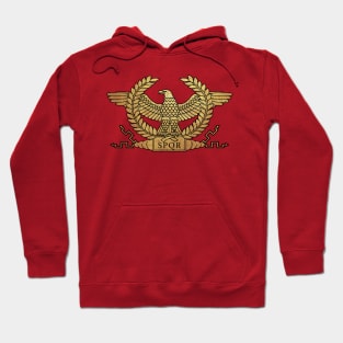 Roman Ancient Golden Eagle Hoodie